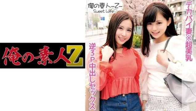 230ORECO-105